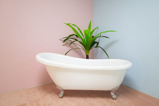 Große, heller Räume